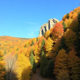 Americana no outono: passeios recomendados