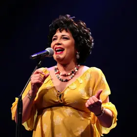 Teatro de Arena Elis Regina
