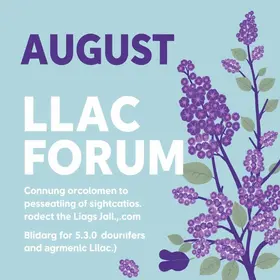 Fórum Agosto Lilás recebe inscrições até sexta