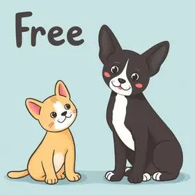 Mutirão gratuito realiza quase 400 castrações de cães e gatos na Cidade Jardim
