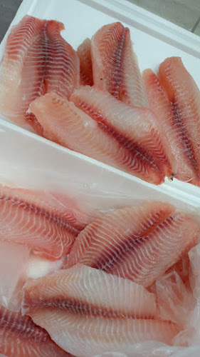 ZM Peixes - Peixes Congelados e Porções Fritas